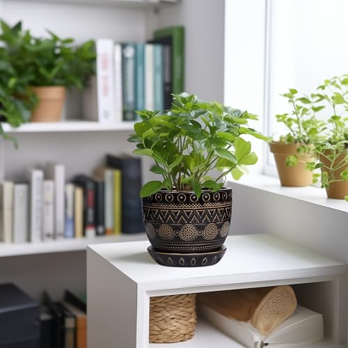 G EPGardening 5.5 Inch Ceramic Planter - Ceramic Plant Pot for Indoor Outdoor Plants, Boho Round Flower Pot with Drainage Hole and Saucer, Gifts for Plant Lovers, Office Garden Home Decor, Black by G EPGardening - Used condition - Image 2