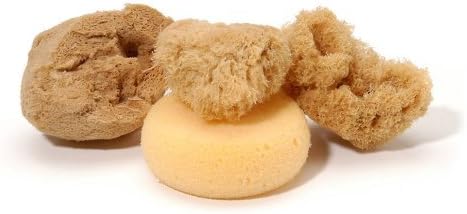 Darice Natural Artist (4pc) – Includes 3 Sea 1 Rounded Artificial Sponge – Finely Grained, Highly Absorbent, Various Textures – For Pottery, Ceramics, Painting, Staining, Original Version