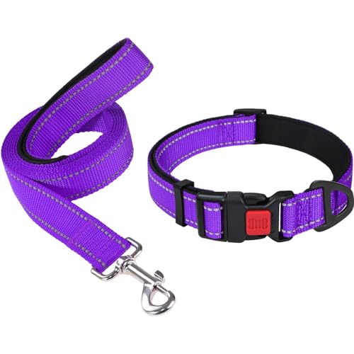 Taglory 8"-12" Dog Collar and 4 FT Dog Leash Set, Highly Reflective Threads Dog Leash, Adjustable Reflective Dog Collar with Safety Locking Buckle for Puppy Dogs