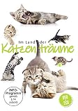Im Land der Katzentr�ume