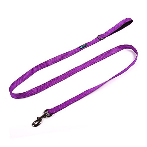 Max And Neo Reflective Nylon Dog Leash - We Donate A Leash To A Dog Rescue For Every Leash Sold (Purple, 4X1) #TOP3