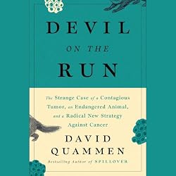 Cover of Devil On The Run