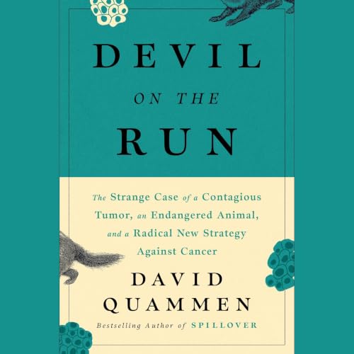 『Devil On The Run』のカバーアート
