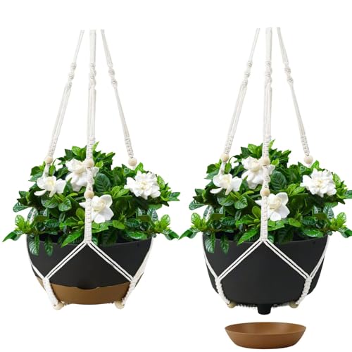 ZOEHROWS Hanging Planters for Indoor Plants (10 Inch, 2 Pack) Lager Hanging Flower Pots Self Watering, Hanging Planter with Drainage Hole & 2 Kinds of Plant Hangers, Garden Home Decor