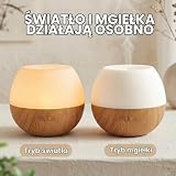 AESHORY Dyfuzor olejków eterycznych 100 ml, cichy dyfuzor zapachowy, ultradźwiękowy nawilżacz powietrza z 7 diodami LED do domu, jogi
