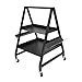 2-Tier Tool Cart on Wheels, Rolling Tool Storage Organizer with 4 Locking Casters, 20 lbs per Shelf Capacity Utility cart for Workshop, Garage, Stable, Black