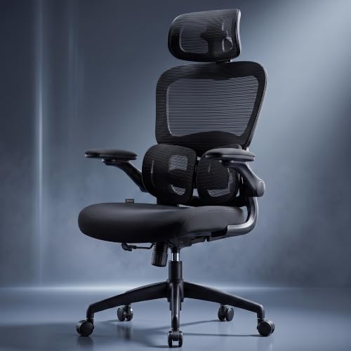 DROGO Vesby Ergonomic Office Chair for Work with Dual Adaptive Lu...
