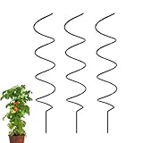 Pflanzenstecker, 3 Stück Eisen-Spiralstäbe, 43,2 cm, Blumenstützpfähle, für drinnen und draußen, Garten, Tomaten, Rosen, Reben