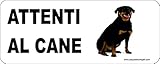 Regali Pazza idea