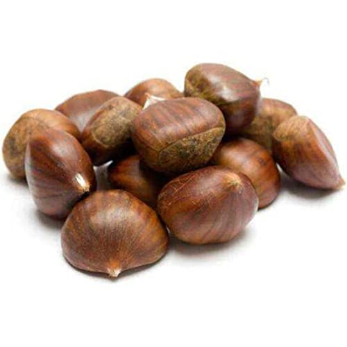 Raw Chestnut, Fresh Raw Chestnuts, 2 LBS