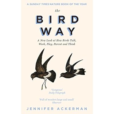 The Bird Way