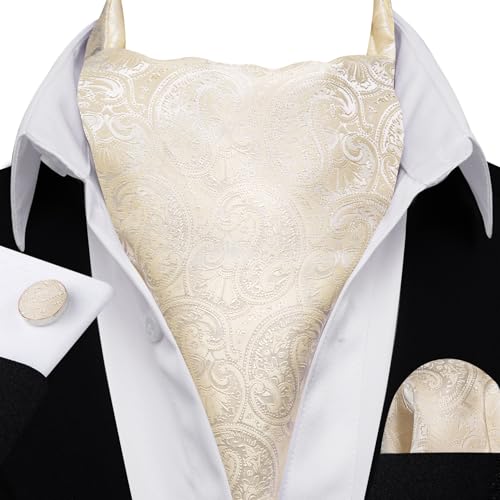 Image of Barry.Wang Ascot Ties Cravat Tie Men Paisley Plaid Scarf Self Tie Pocket Square Cufflinks Set Wedding Party