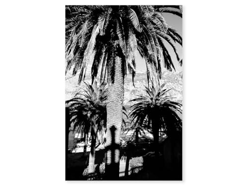 Hexoa Tableau Noir et Blanc Palmiers monténégro - Made in France - Tableau Verre Acrylique 60x90