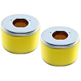 Caalii 2 Pack 17210-ZE2-505 Air Filter, Professional Air Filter Fit for Honda GX240 8HP GX270 9HP