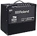 Roland KC-200 4 Channel Mixing Keyboard Amplifier, 100-Watt & RAC-KC200 Custom KC-200 & KC150 Keyboard Keep Looking with This Authentic Amp Cover | Protect The Cabinet from Minor Scuffs, Dust & Dirt