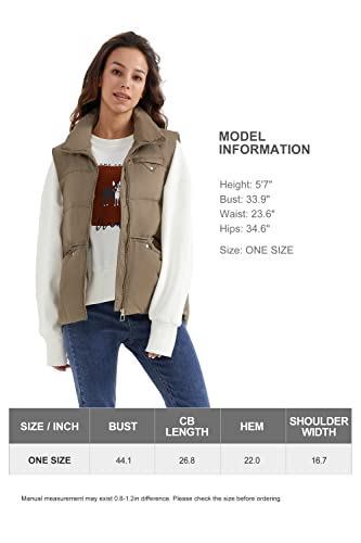 Elezay Women's Puffer Vest With Stand-Collar One Size Winter Down Quilted Vests Sleeveless Casual Outerwear Jackets For Fall #TOP6