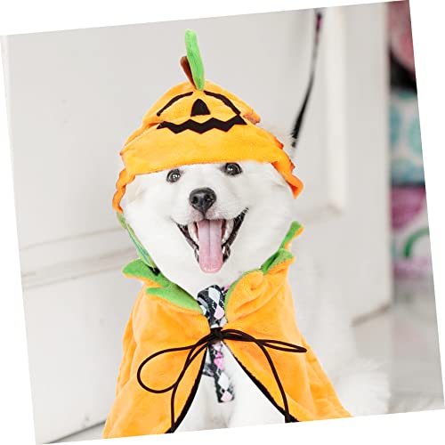 Set disfraz de capa y sombrero Halloween para perros y gatos miniatura 4