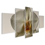 De nombreux formats disponibles : recherchez islandburner + nom du motif pour trouver plus de variantes.