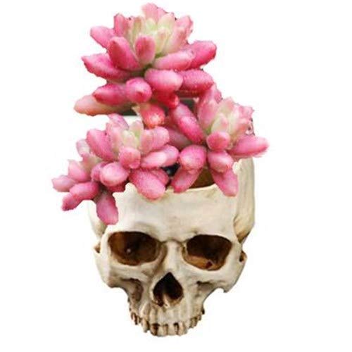 11.5Cm Open Skeleton Skull Figurine Medium Bowl, Artificial Resin Skull Head Flower Pot Skull Candy Bowl Multifunctional Tabletop Storage Tank Replica Skeleton Model Home Bar Table Decor Ornament #TOP6