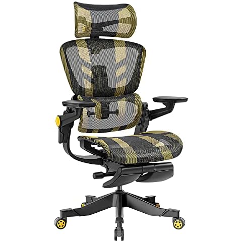 HINOMI H1 Pro Ergonomic Gaming Chair with Lumbar Support Cover
