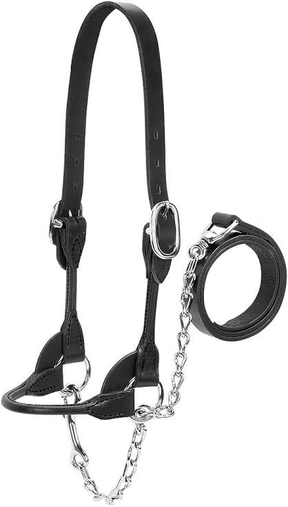 Horse Leather Halter with Chain/Chock Bit/Horse Leather Halter (B0CHYDS3M3) Amazon Price History, Amazon Price Tracker