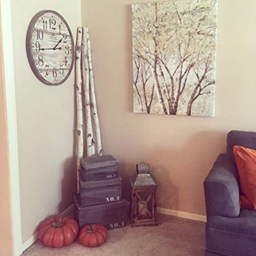Wilson White Birch Decorative Poles - Natural Wood Bark Kiln Dried Home Décor, 7' L X 1.5-2.5" D (3 Poles) #TOP5