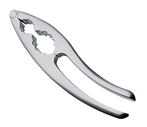 Cilio, acciaio inossidabile