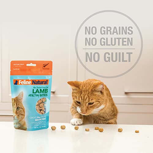 Feline Natural Grain-Free Freeze Dried Cat Treats, Beef 1.76Oz #TOP4