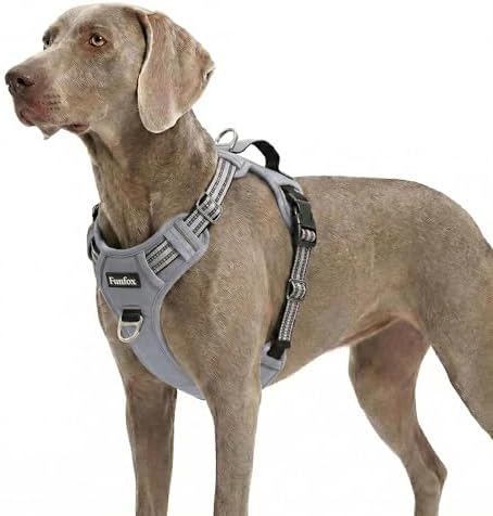 Funfox Anti Zug Hundegeschirr Grosse Hunde mit Frontclip, Grau | Vertikaler Griff, Verstellbar, 2 D-Ringe, Gepolstert, Nachts Reflektierend, für Kleine Mittlere Grosse Hunde, XL