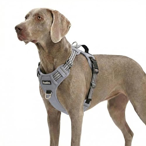 Funfox Hundegeschirr Mittelgroße Hunde, Anti Zug Brustgeschirr Verstellbares Geschirr Hund mit Griff Reflektorstreifen, No Pull Geschirr Hund für Kleine Mittlere Grosse Dog Harness
