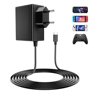 NEUTYPECHIC 39W Switch Ladegerät Game Console-01