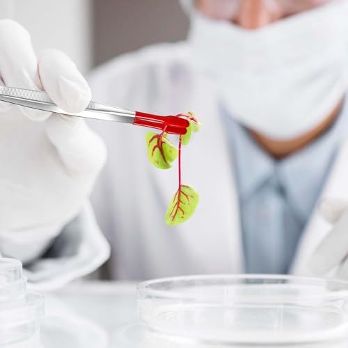 2 Stück Edelstahl Pinzetten Präzisionspinzette Lange Pinzette Hobby Bastelpinzetten Mit Gummispitzen Flacher Spitze Mit Gummispitzen Und Pvc Für Labor Schmuck Diy Herstellung Briefmarken