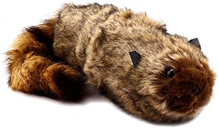 The Rocky Raccoon Magic Robbie Magic Trucos de magia Escenario Street Ilusiones Trucos de trucos Accesorios Accesorios de Aparición Divertida