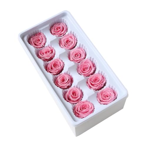 Luxshiny Flores para Boda Preservadas 12 Piezas Rosas Claras 3-4 CM Tallos para Decoración Ramos Manualidades Eventos Obsequios