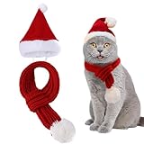Cadeau : un cadeau idéal pour les amoureux des animaux pendant les fêtes de fin d'année. Cet ensemble charmant est présenté dans un emballage festif, prêt à répandre la joie de Noël et à créer des moments mémorables avec les membres poilus de la famille.