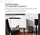 Denon Home Wireless-Subwoofer mit HEOS Built-in, WLAN, Class-D Hochleistungsverstärker, 8 Zoll Bass Box für Heimkino und Musik, Schwarz
