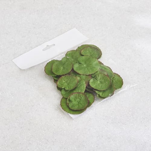 Image of Home Centre Gloria Hover Set of 30 Fabric Floating Lotus Leaves