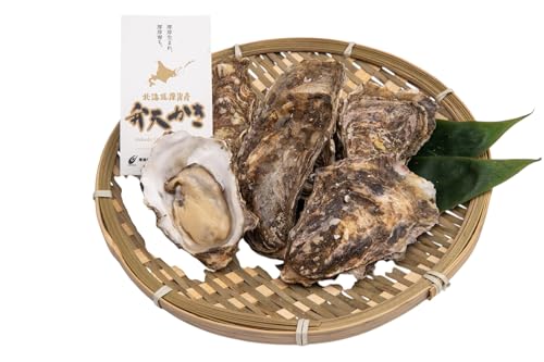 厚岸町 新ブランド 『 弁天かき 』 Lサイズ 15個 北海道 牡蠣 カキ かき 生食 生食用 生牡蠣 魚介類 魚貝類