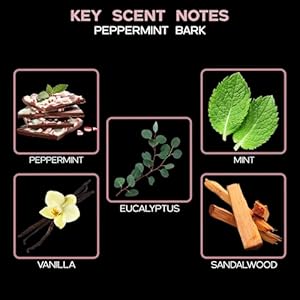 LOVSPA Peppermint Bark Reed Diffuser Set Holiday Peppermint Candy Cane Scent Diffuser Reed Diffusers for Home with Long Lasting Fragrance Non Toxic Oil Reed Diffuser Made in The USA