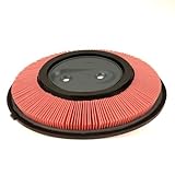 Premium Guard PA4669 Air Filter