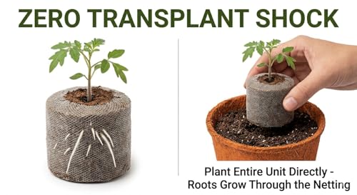 Image of Kids Pot-A-Plant Starter Pack (Kerala Coir) - 2 Biodegradable Coir Pots + 4 Cocopeat Netted Pellets (35mm) | Nature Activity Set for Children