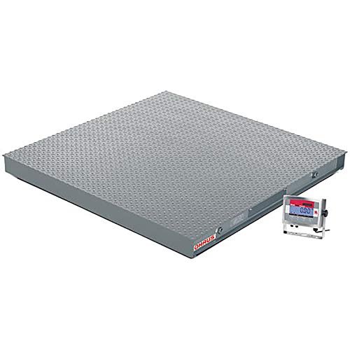 Báscula de piso Washdown 5000 lb plataforma 5x5