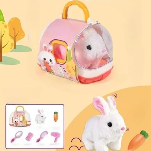 Hxuoluedʂ݁iEEqEefBj tybgPAZbg bEUEaEeE҂ mߋ jp v[gp (ETM) [sAi]