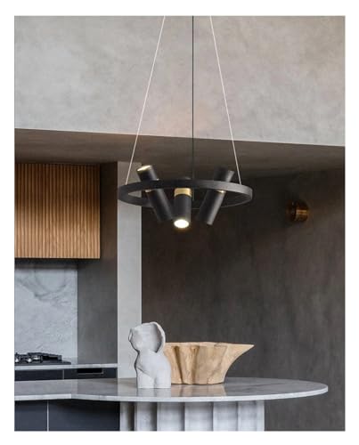 Pendentif rotatif léger noir avec lumière suspendue blanc chaud 18 LED de plafond