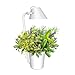 Produktbild Innengarten LED Hydroponics Gardening Kit, Pflanzen Hydrokultursystem Dimmbarer Tischlampe, Pflanzenlampen Wachstumslicht Pflanzkorb mit Pflanzschwämme & Nährlösung, Samen nicht enthalten(Weiß)