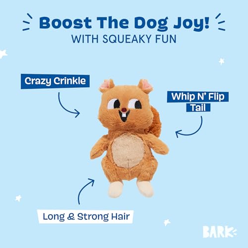 Image of BarkBox Pearl Squirrel