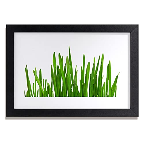 Cadre en MDF avec affiche photo herbe 30x20 cm aux finitions soignées pour mur