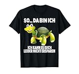 Lustig Ironisch Sarkastisch Spruch 