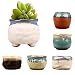 2.95 inch Succulent Pots,Mini Flower Pots with Drinage,Succulent Planters with Hole,Small Planter Pots,Ceramic Pots for Garden,Cactu,Colourful Glaze Base Serial