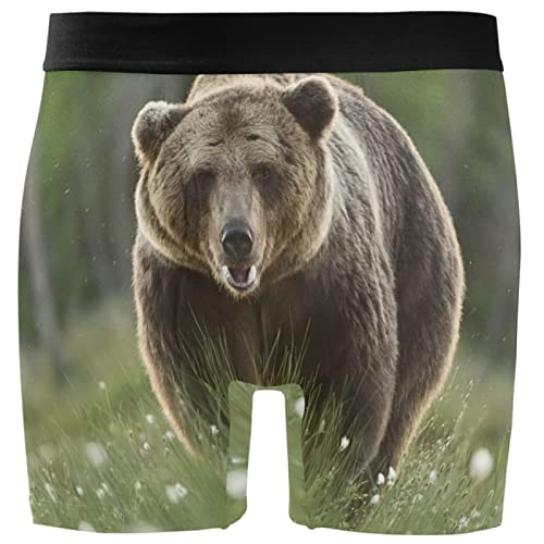 Boxer Homme Ours Brun Boxershorts Caleçon Boxeur Homme Supérieur Fitted Boxer Shorty Homme Maintien Et Confort Homme Slip L Cover